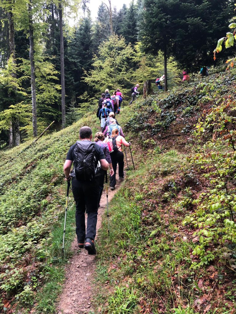 Hiking through Zugerberg forest