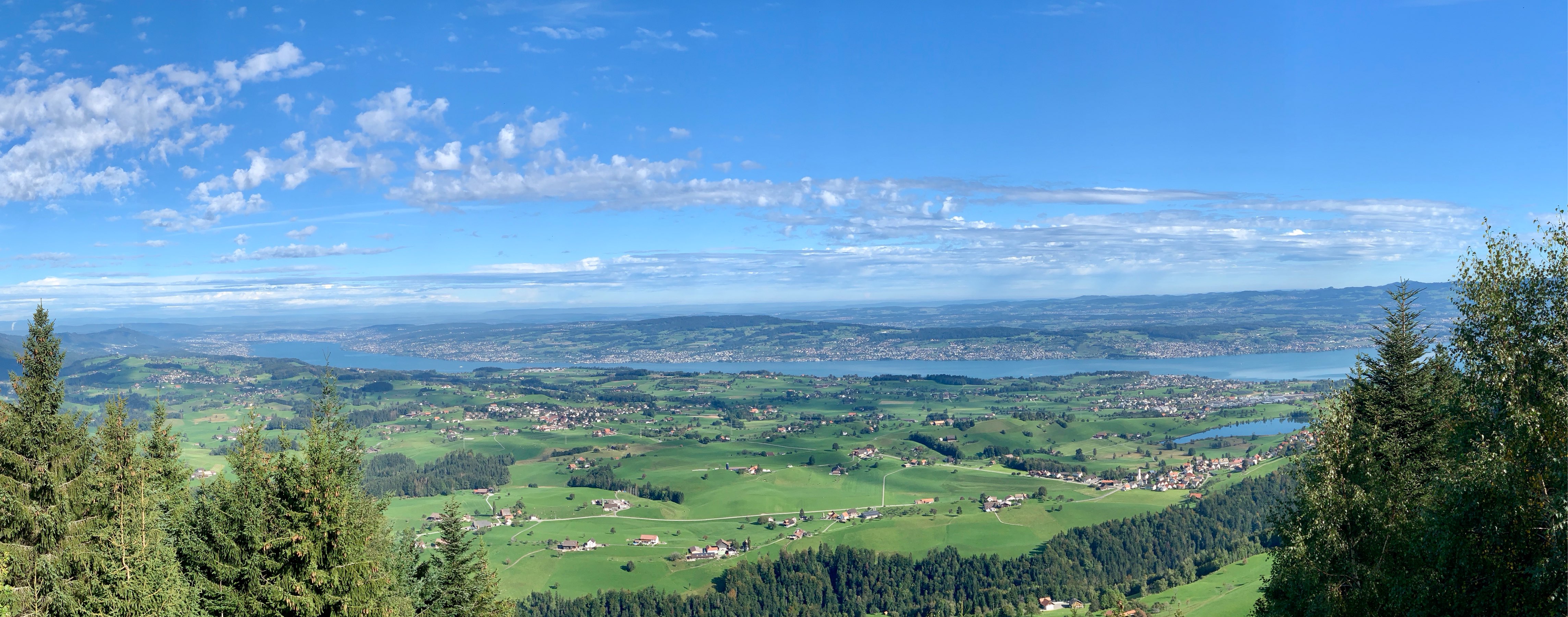 Lanscape view of green farm pastures interspersed with small woods. Lake Zürich, long and skinny, runs left-to-right in the distance. The sky is blue with a few white clouds.