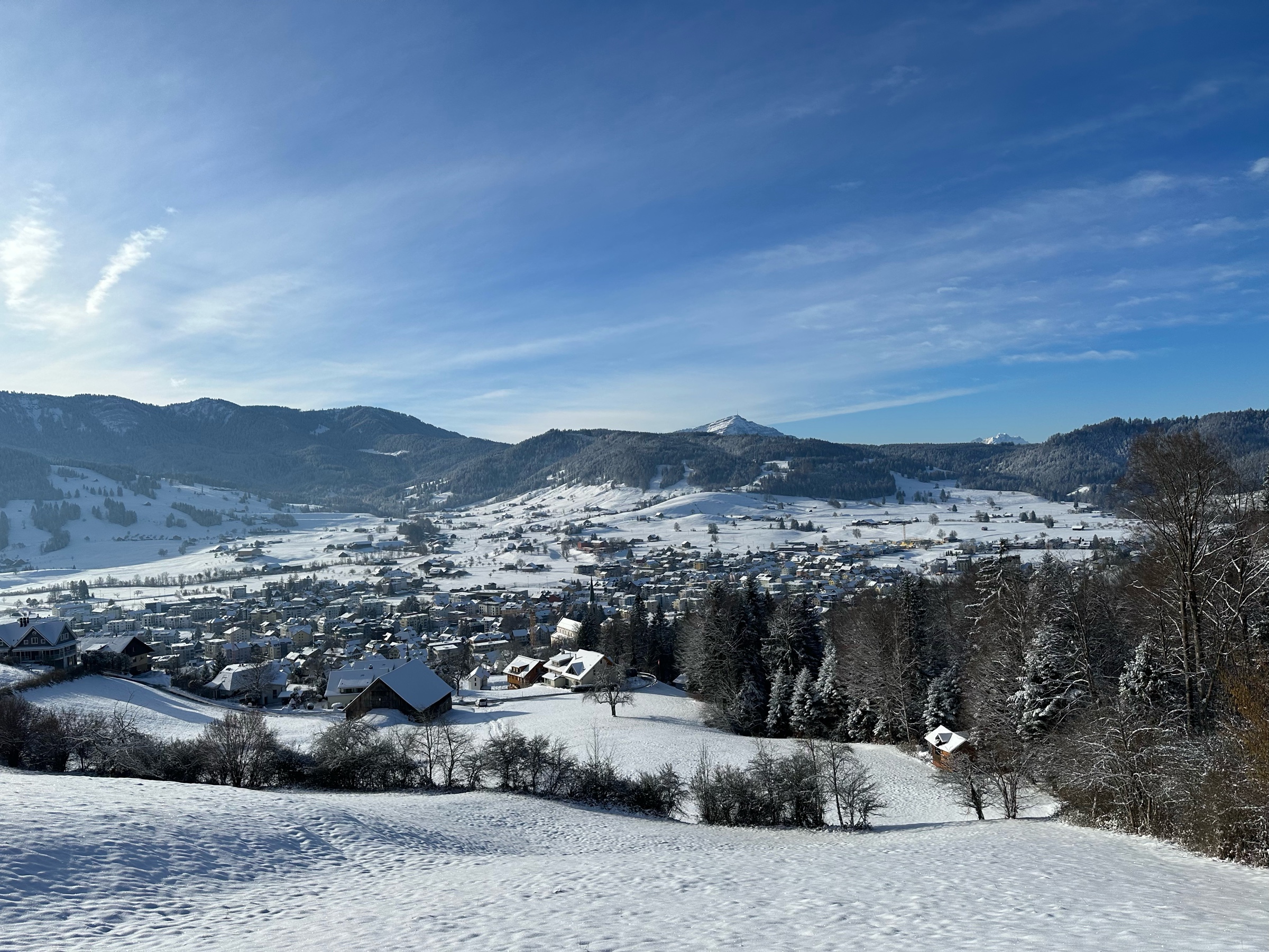 Landscape photo of a snow-covered valley with a town at the bottom.