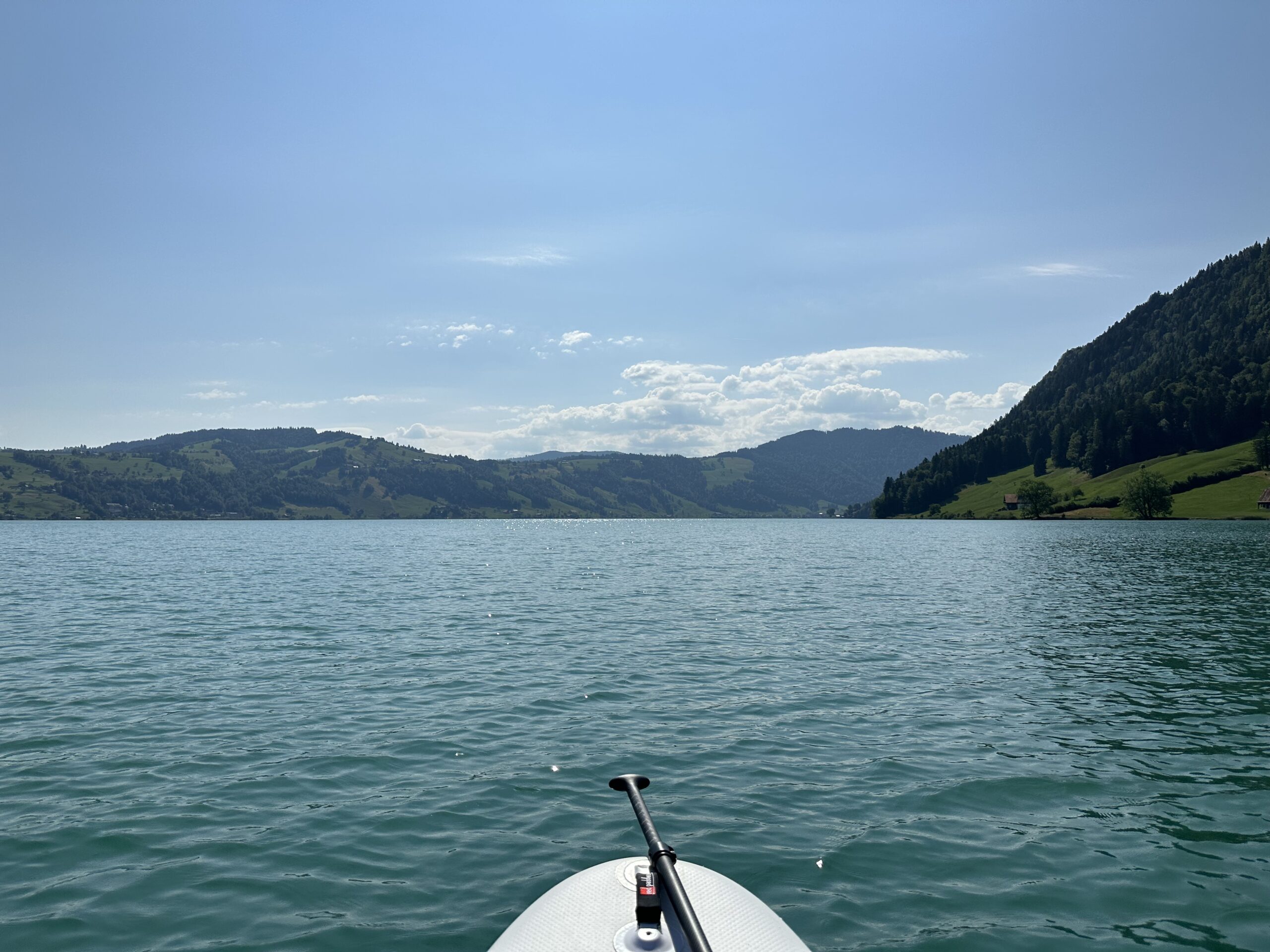 View of lake with stand up paddle in the foreground and forested hills in the background.