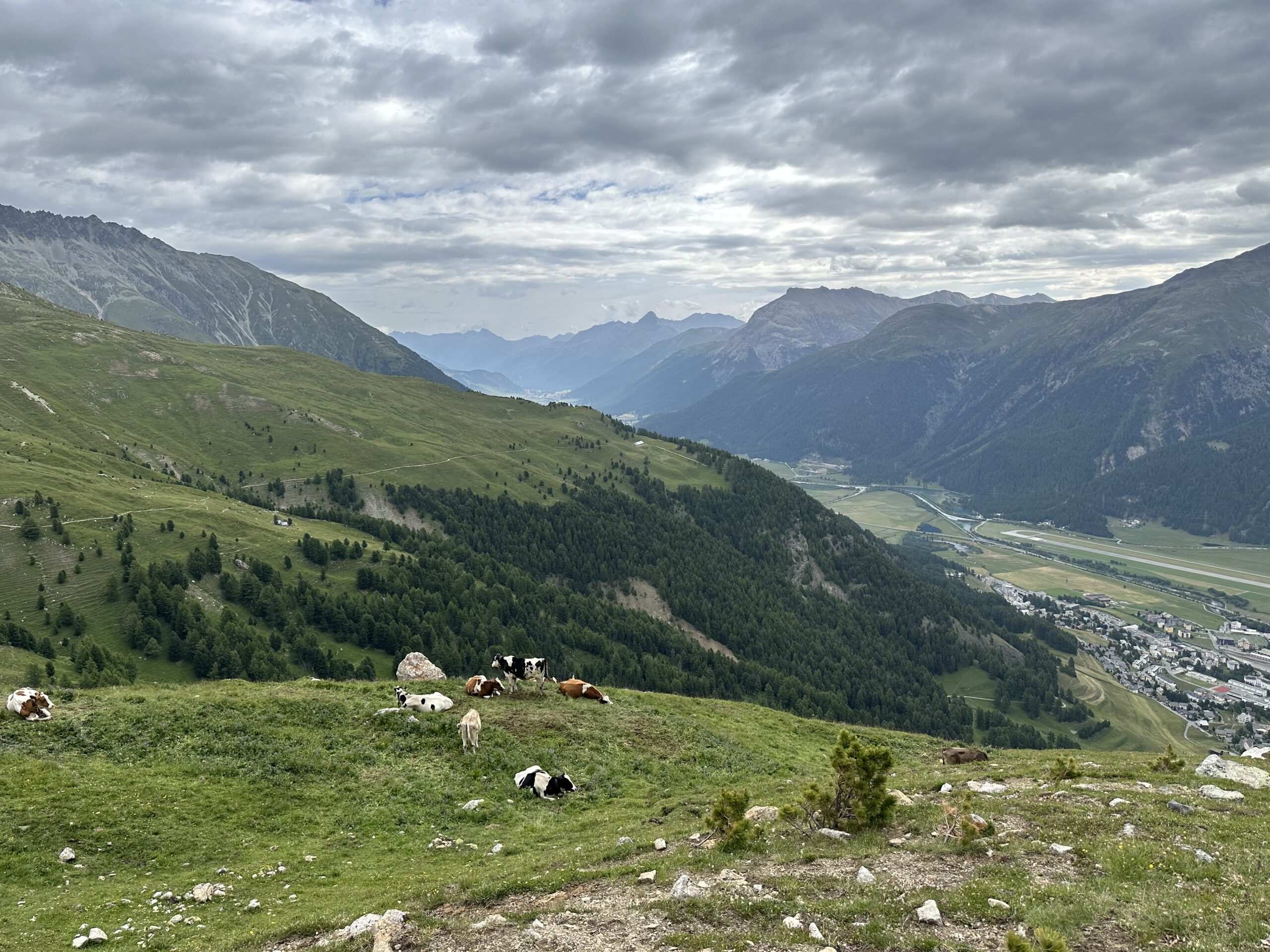 View of cows grazing on a hill above an alpine valley under a cloudy sky.