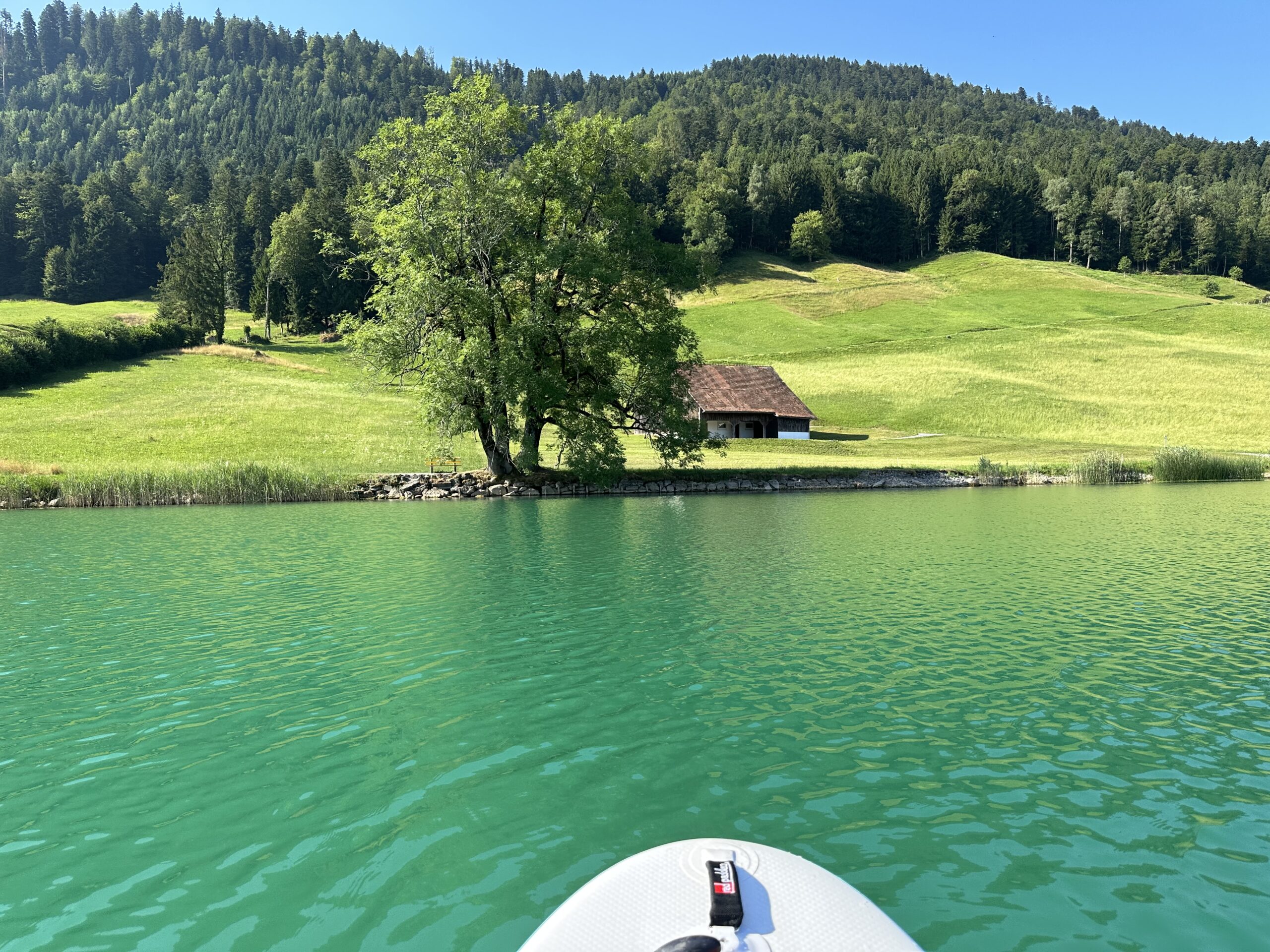 Vista of green pastures and forest under blue skies taken from a standup paddle board floating in a lake. The lake water glows green from the reflected vegetation.