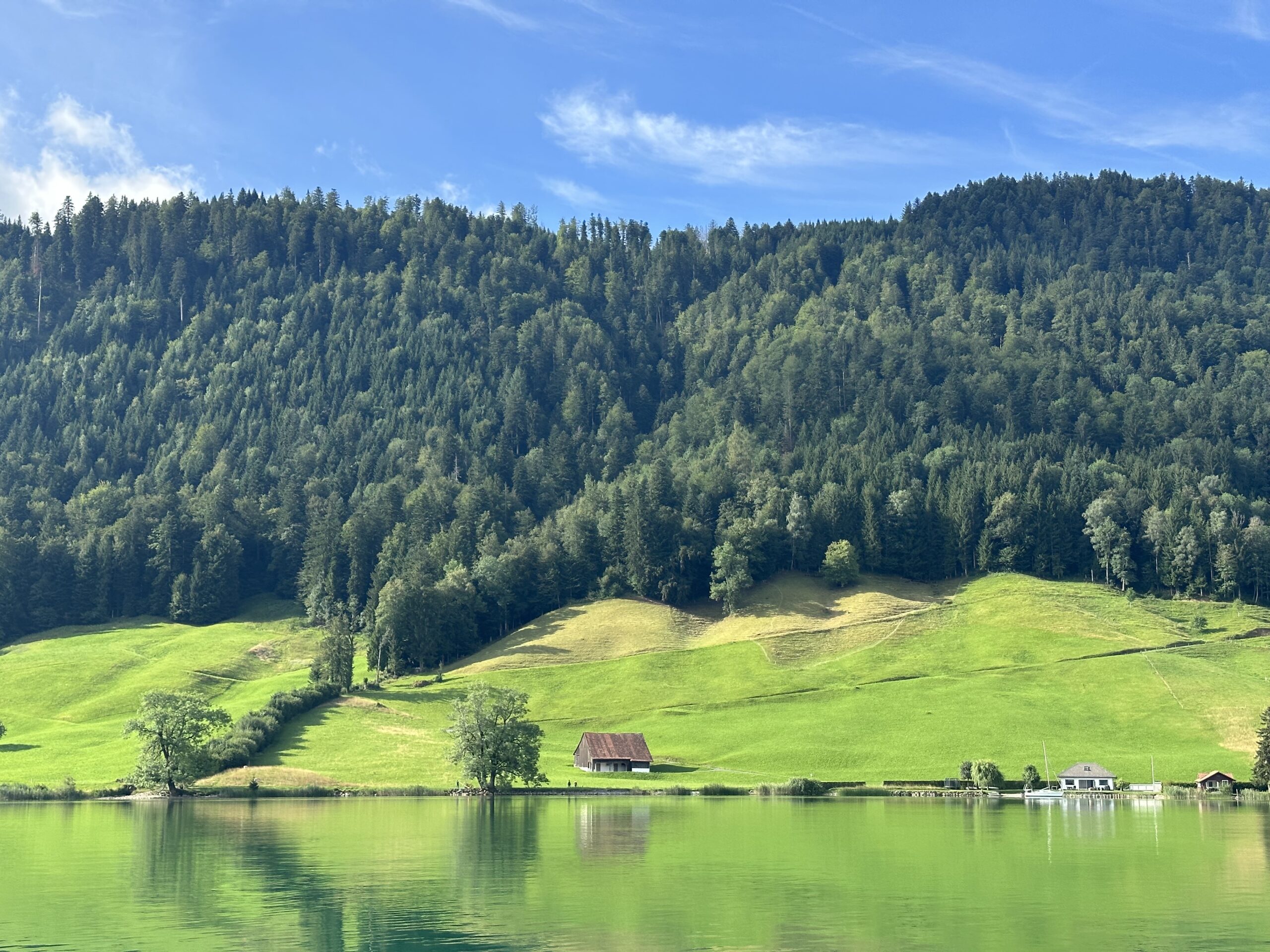 Landscape view with lake in foreground, green hilly pastures and forested hills in the background against a blue sky with a few white clouds.