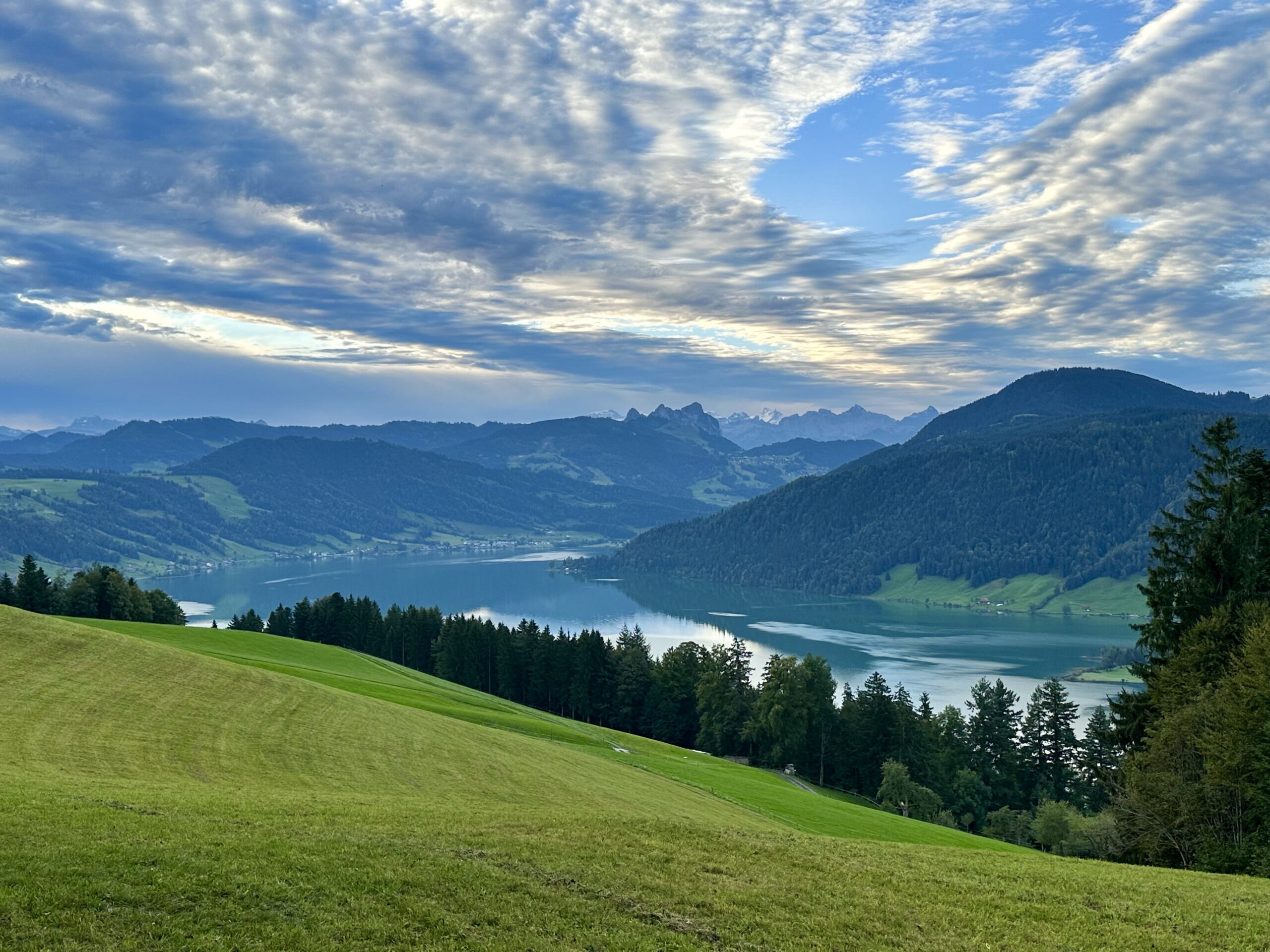 View of a lake under a cloudy but still blue sky with green pastures in the foreground and dark green forested hills in the background.