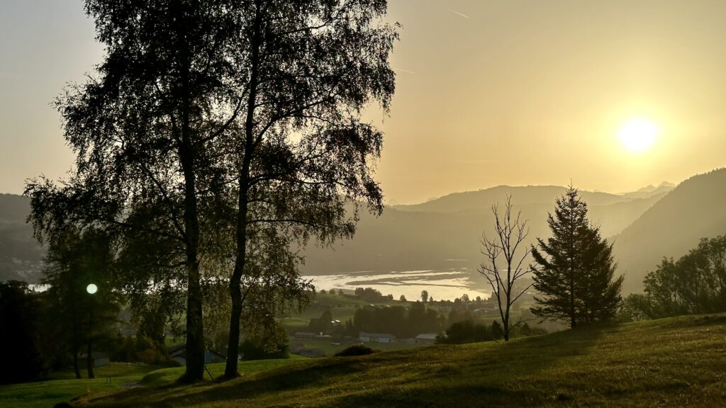 View looking into the newly risen sun that casts a golden sheen over the landscape. The occasional tree dots pastures in the foreground, the surface of a lake reflects the light in the middle distance, and hills are silhouettes in the distance. This was my view as I turned back towards home on my morning walk.