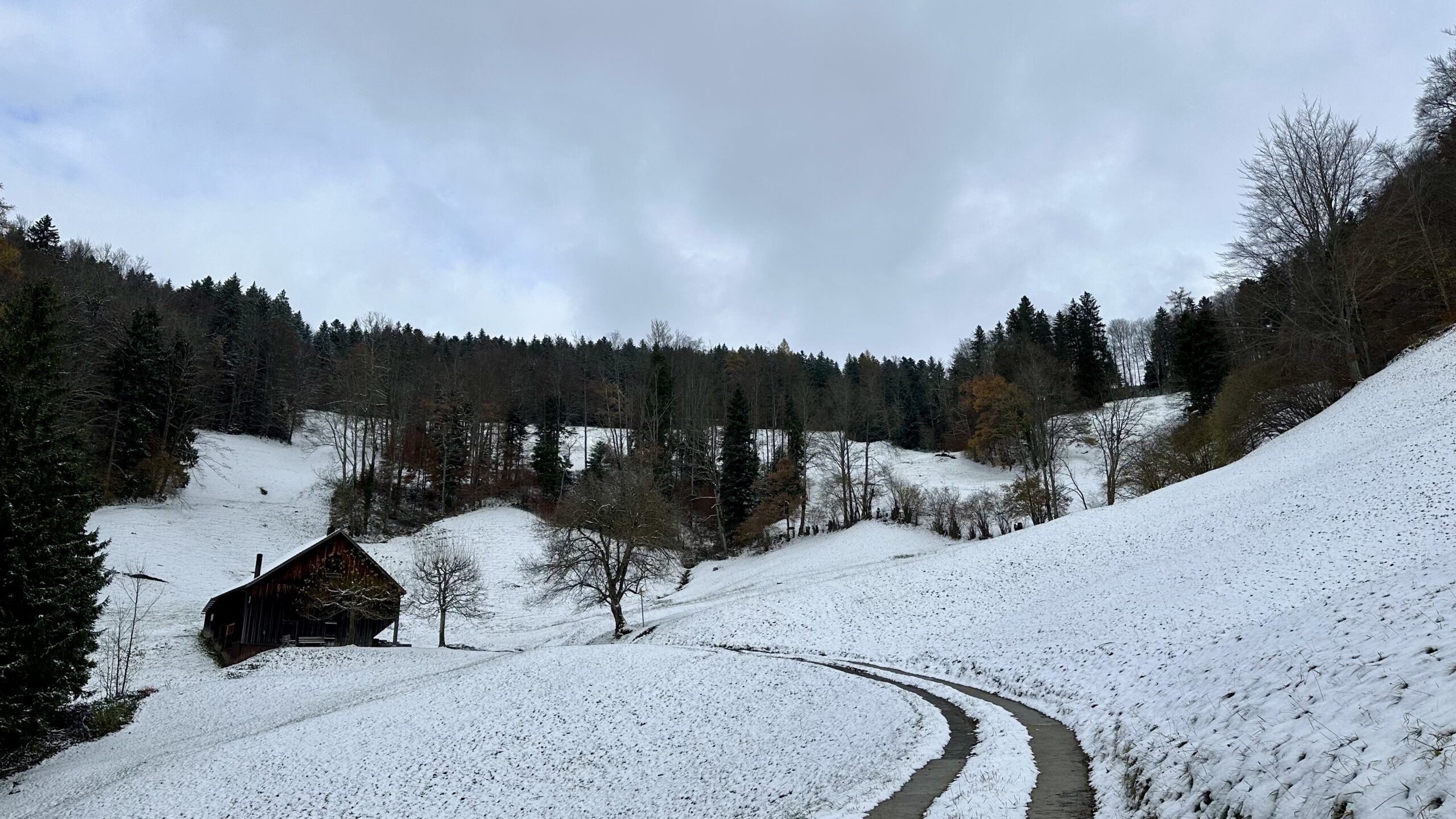 Dark wooden barn on a snowy slope halfway up to the White Cross. The landscape is a mix of pasture and forest. The barn is part of a sheep farm.