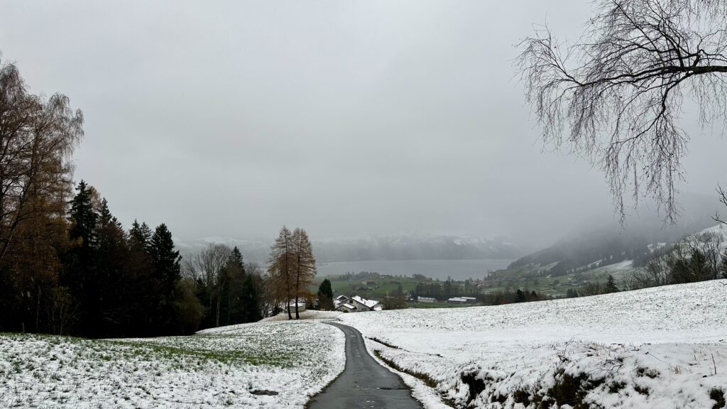 Landscape view of rolling farm fields mostly covered in snow leading down to a gray lake and a fog-shrouded valley.