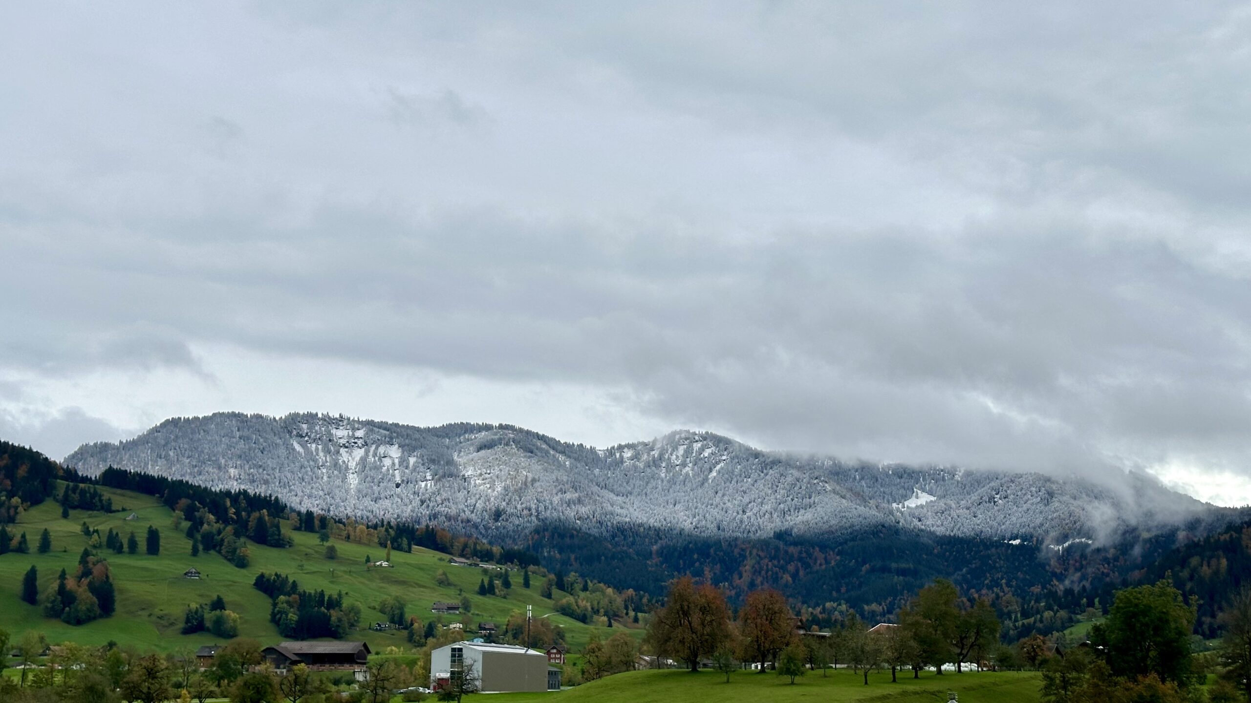 View of a low forested mountains with a clear snow line part way up. Sky is cloudy and gray. Green pastured hills sit in the foreground.