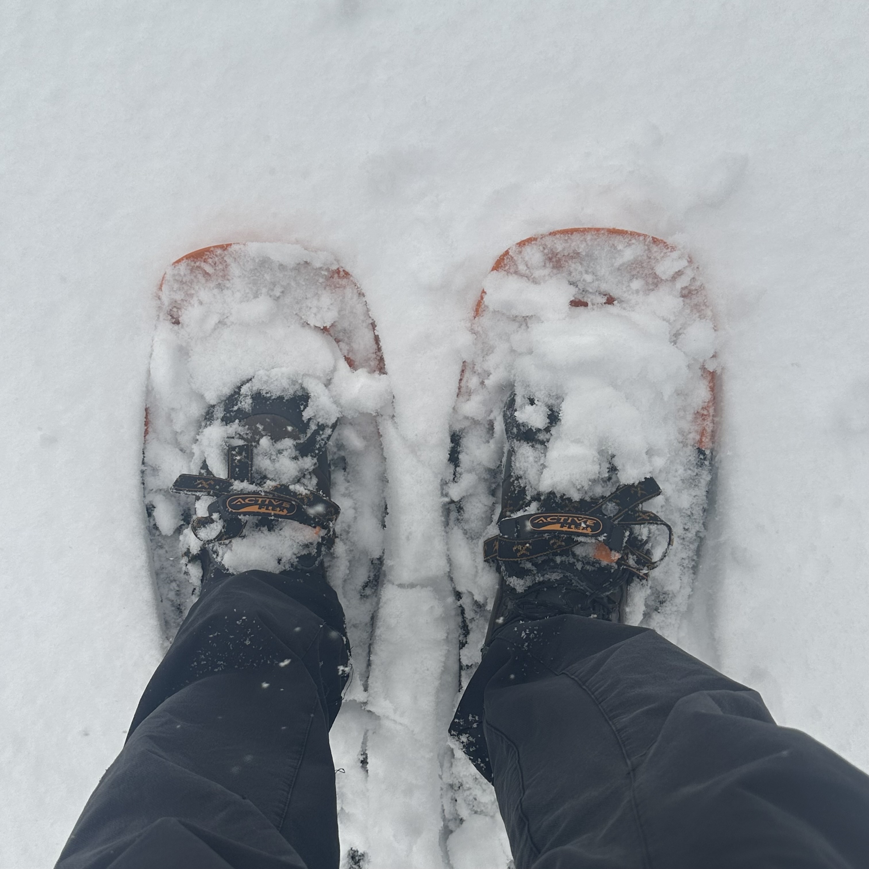 Point-of-view photo of my two snowshoe-clad feet standing in snow.