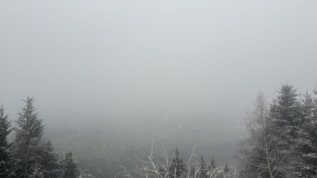 Fogged over "view" with a few snowy evergreens visible in the foregrounds but not much else. If it weren't for the fog you could see Lake Zürich.